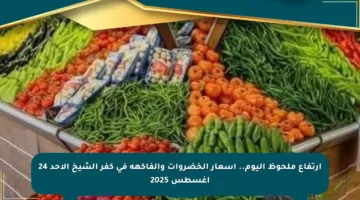 ارتفاع ملحوظ اليوم.. أسعار الخضروات والفاكهة في كفر الشيخ الأحد 24 أغسطس 2025